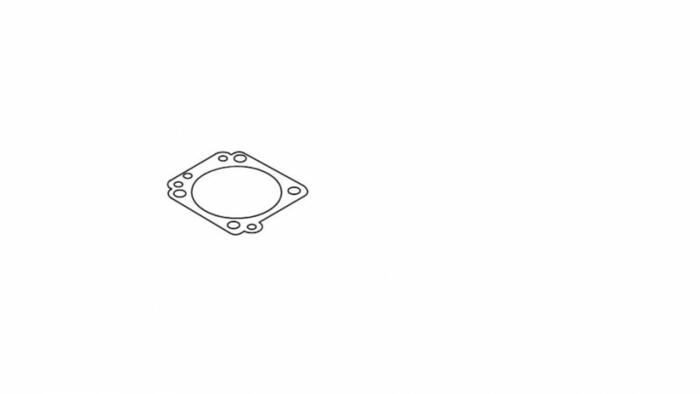 Mērīšanas diafragmas blīve SRM-300, ECHO, 12314005560