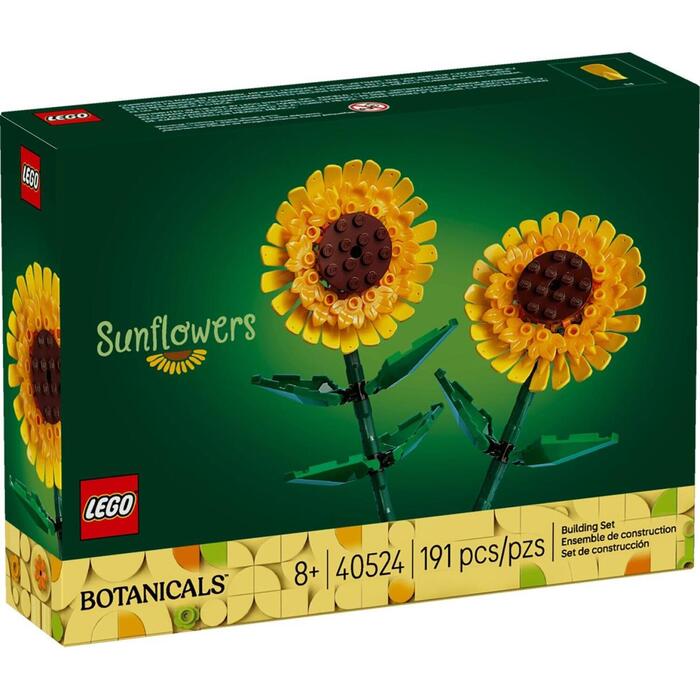 Lego Ziedi MODELIS 40524, 250mm, 191