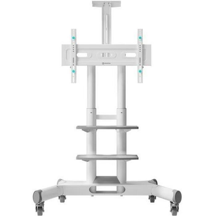 Onkron TV statīvs TS1552-W, 40-70 collu