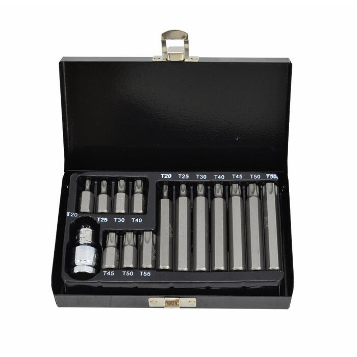 TORX skrūvgriežu bitu komplekts T20-T55, 15