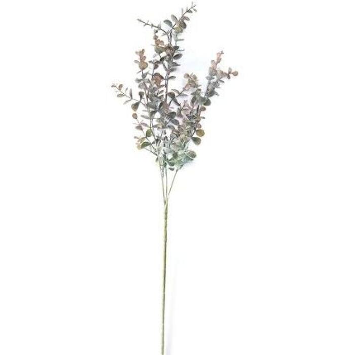 ArtFlow Mākslīgā Eikalipta zars 64cm, 2veidi