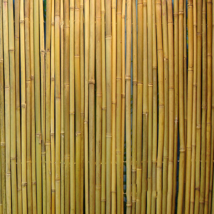 Perforēts bambusa žogs IN GARDEN 1