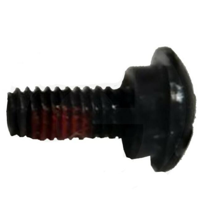 Asmens skrūve 10mm Ø 4mm, 6gab