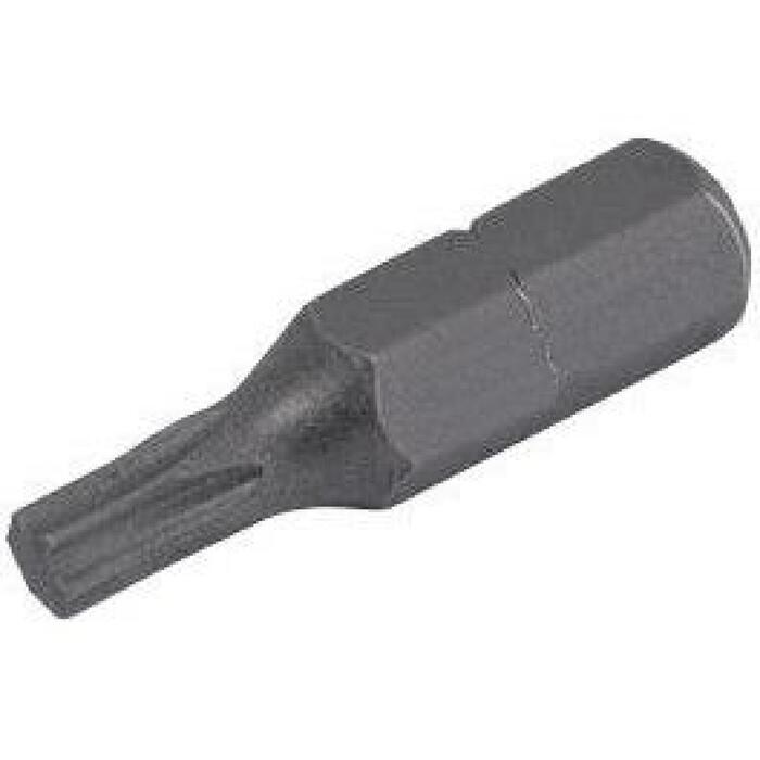 Proline Skrūvgrieža uzgalis 5106629, 1/4", T40