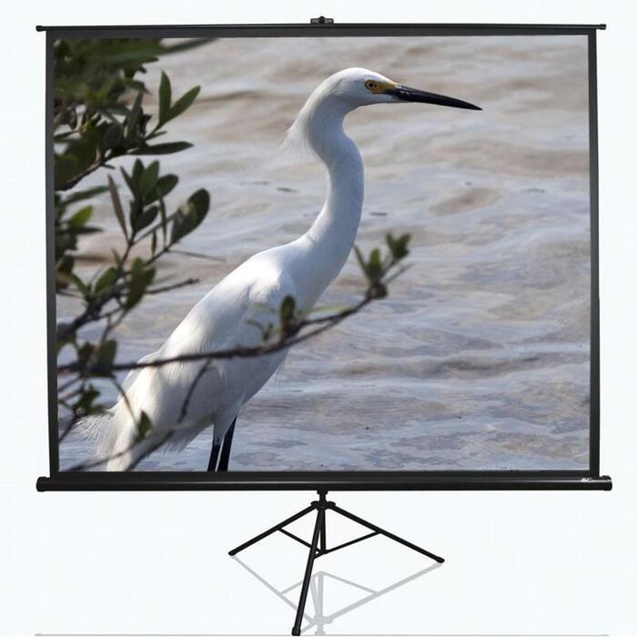 Elite Screens projekcijas ekrāns T100UWV1, 254cm