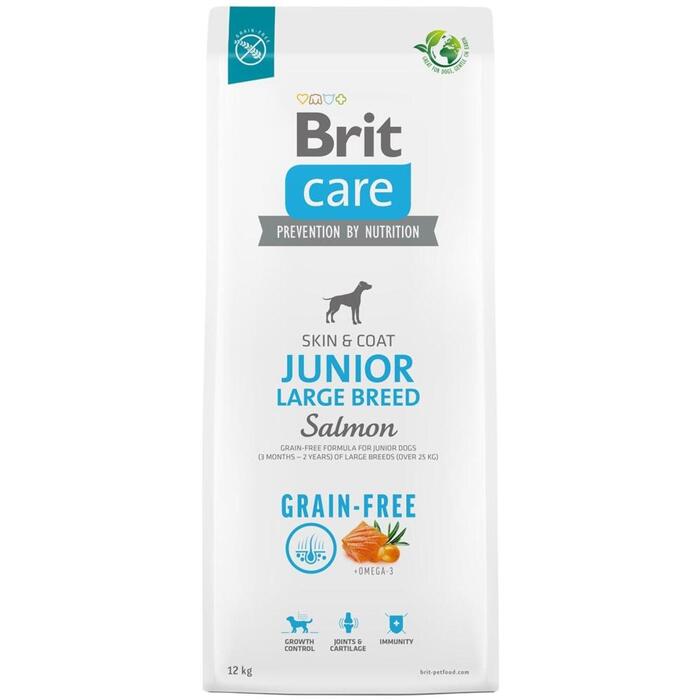 Brit sausa suņu barība Junior Large