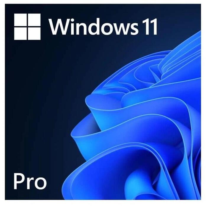 Microsoft Windows 11 Pro FQC-10572, ESD