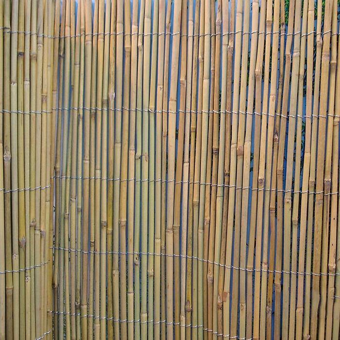 Bambusa niedru žogs IN GARDEN, 2x5m