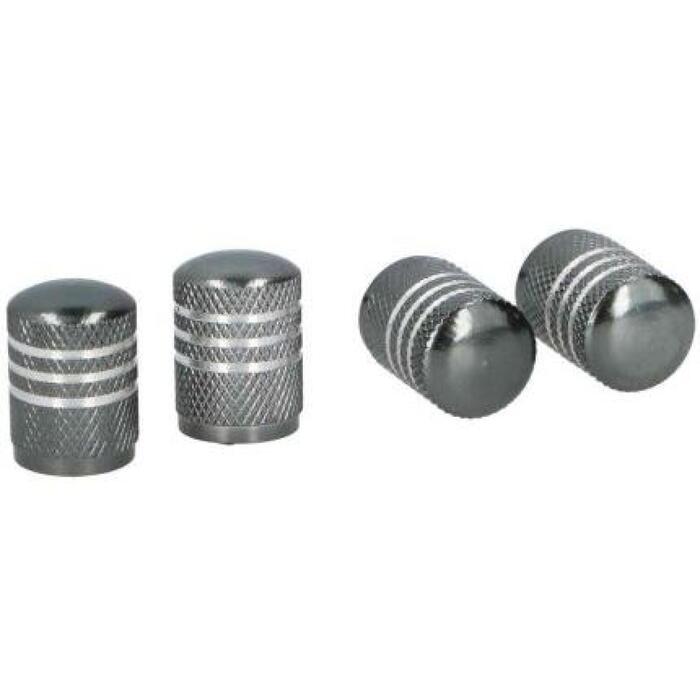 DUNLOP Micīte ventiļu pelēka 4gb (2053028)