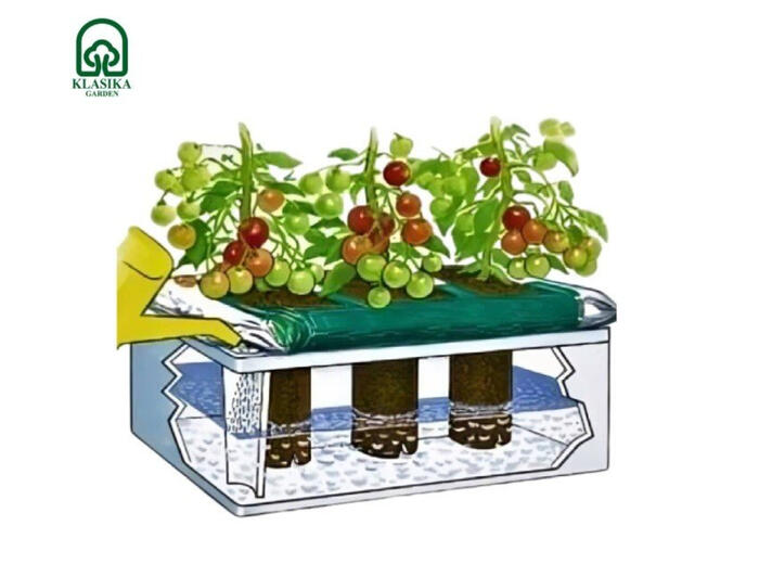 Dārzeņu audzēšanas kastes komplekts KLASIKA GARDEN BASIC (LDR)