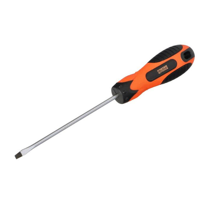 Skrūvgriezis plakanais 3x100mm 03-10-0205 FASTER TOOLS (03-10-0205)