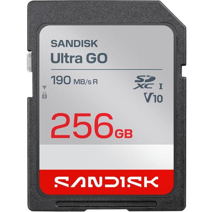 MEMORY SDXC 256GB UHS-I/SDSDUGN-256G-GN6IN SANDISK (SDSDUGN-256G-GN6IN)