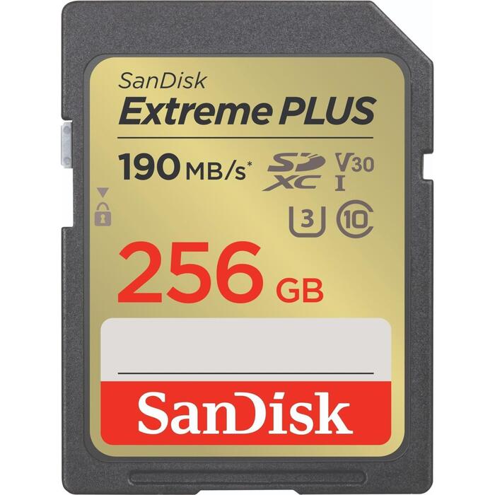 MEMORY SDXC 256GB UHS-1/SDSDXWV-256G-GNCIN SANDISK (SDSDXWV-256G-GNCIN)