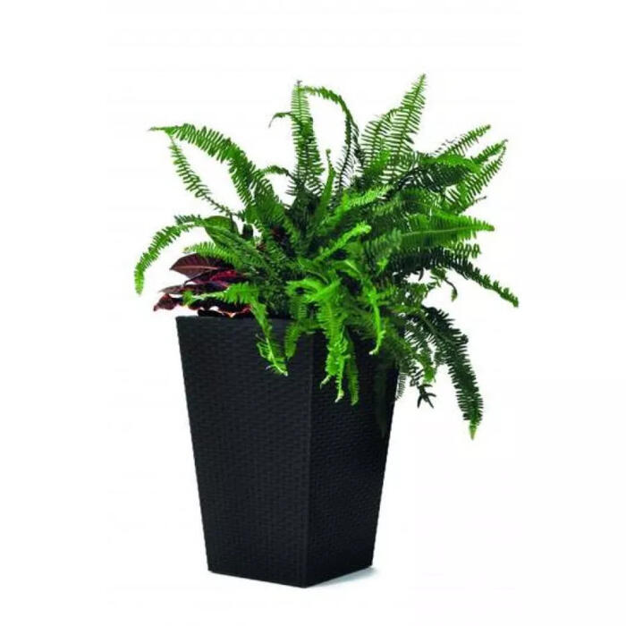 Keter Puķu pods Rattan Planter S