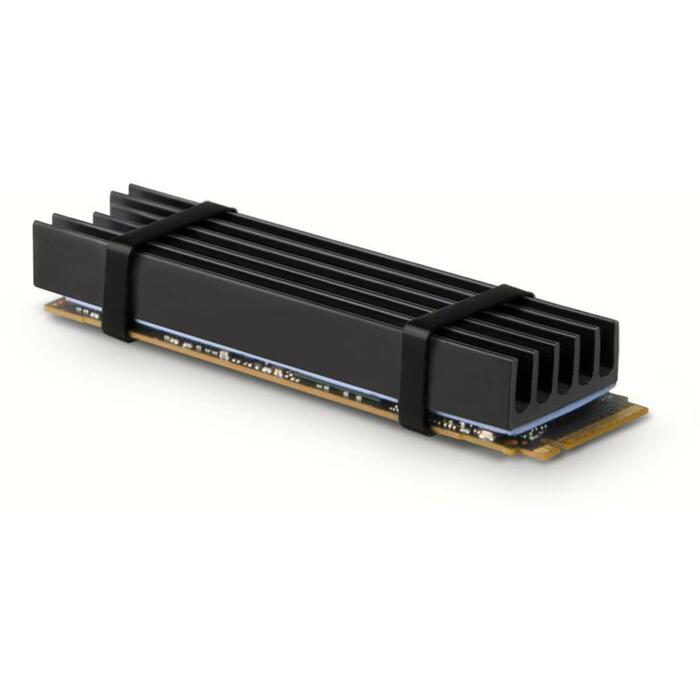 Axagon SSD dzesētājs M.2 CLR-M2L10