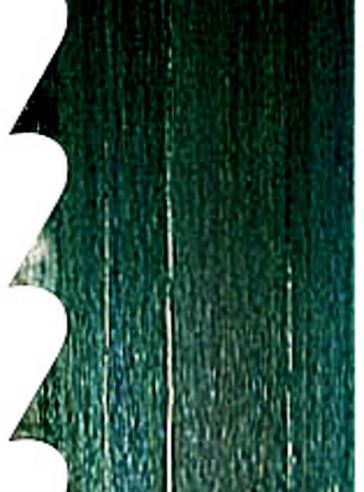 Scheppach Lentzāģa asmens 73230704, 2895x15x0,65mm