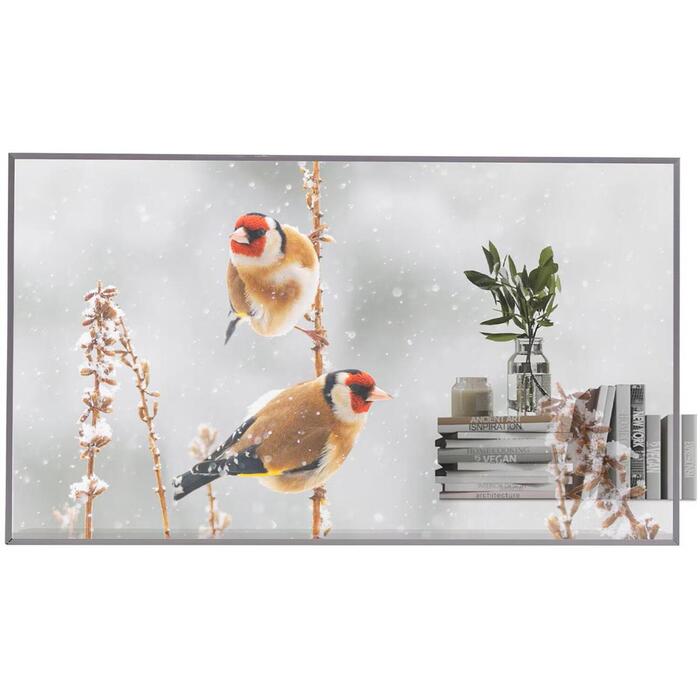 Lg Displeja piederums 55EW5P-MwDongle, 55", 178°