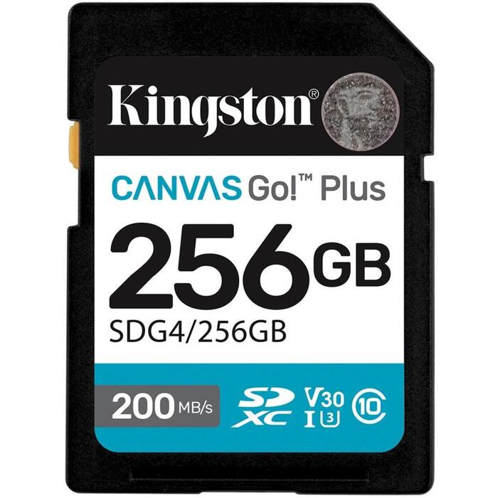Kingston Kaste SDXC SDG4/256GB, 256 GB