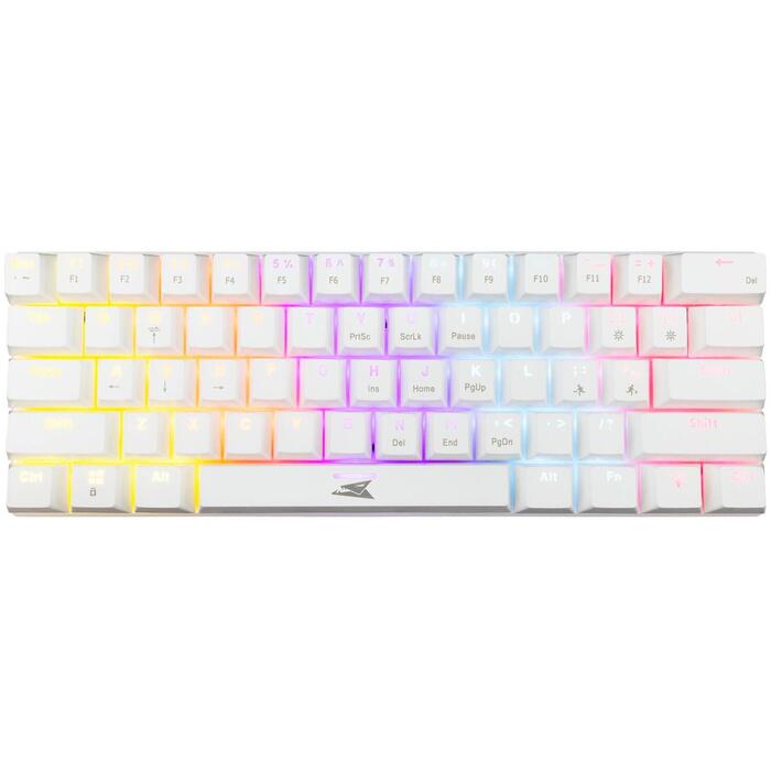 Baracuda DOLPHIN-W-BLUE BGK-03221, 61 taustiņi, zili