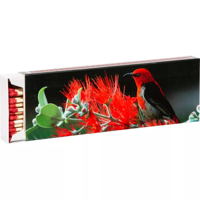 Flamax Sērkociņi 1318636, 20cm, 55 gab