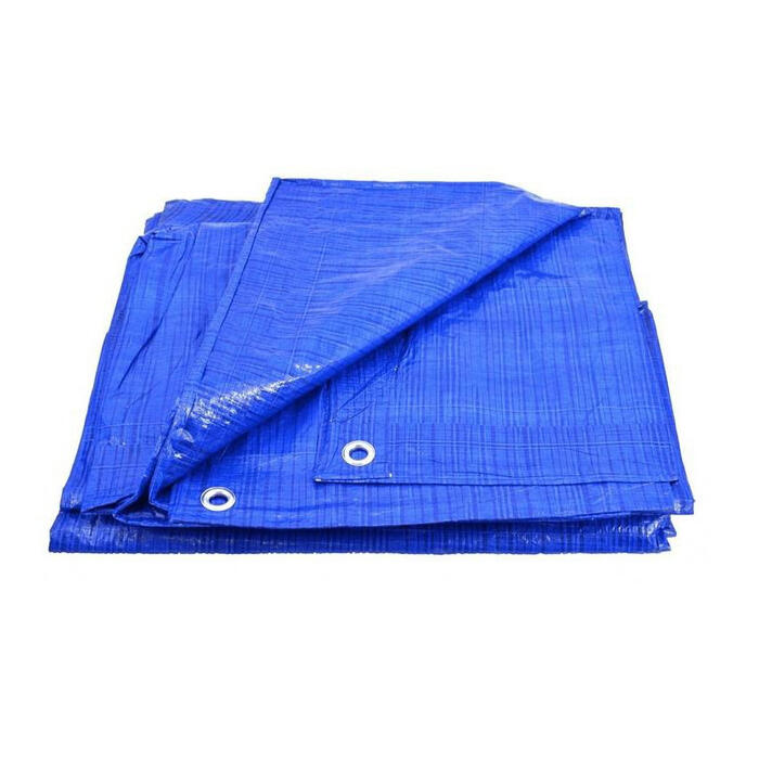 Zilais tarpaulins, 15 x 20 m