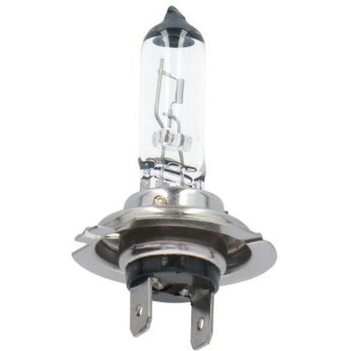 DUNLOP Auto gaismas 12V H7 55W