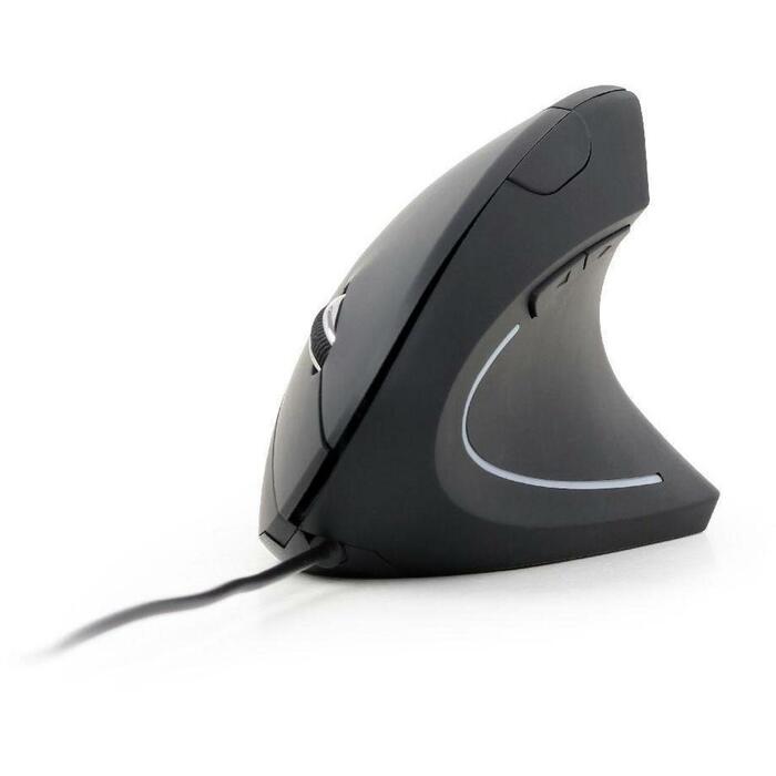 Gembird USB datorpele MUS-ERGO-01, 3200DPI, 6