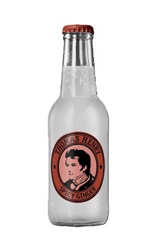 Toniks THOMAS HENRY Spicey Ginger Beer
