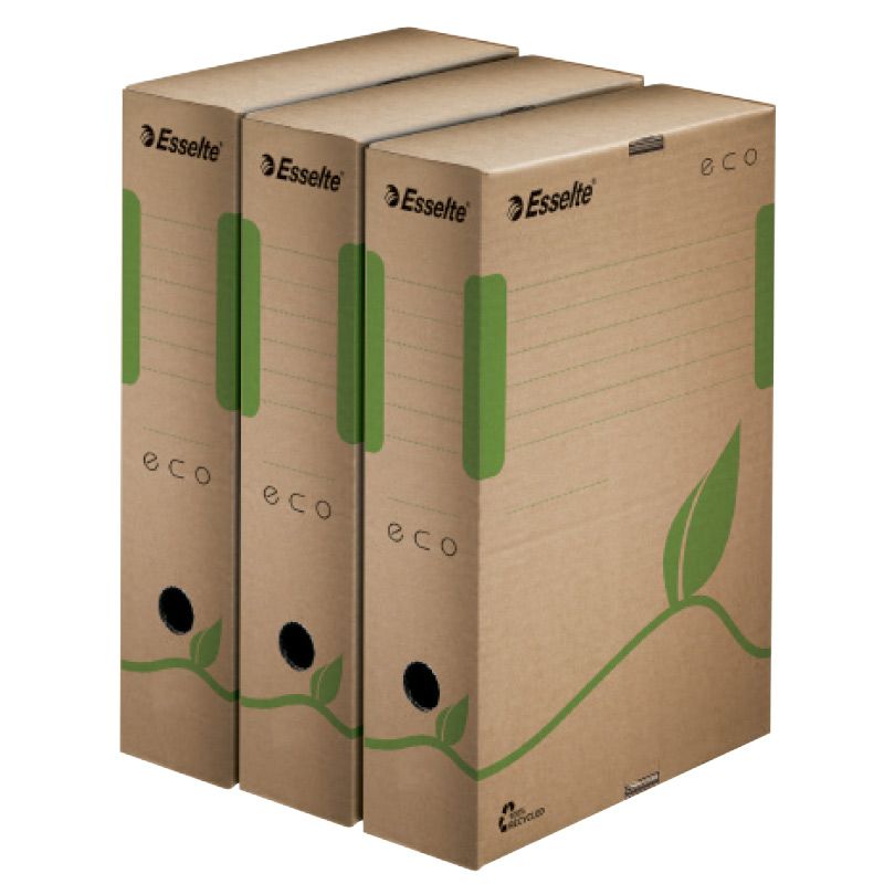 Arhīva kārba ESSELTE, A4 formāts, 80