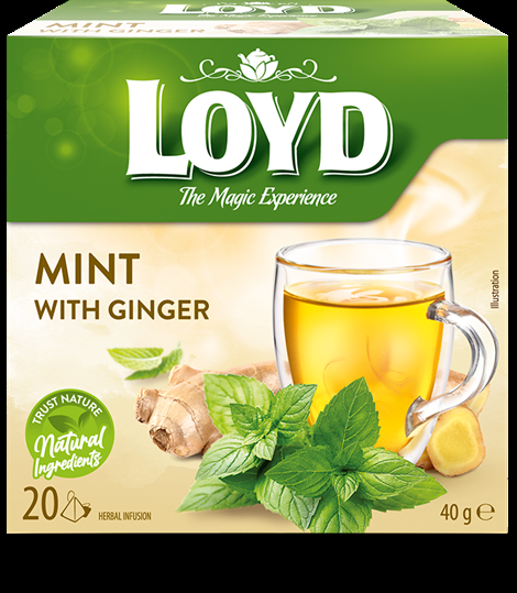 Tēja LOYD, piparmētru un ingvera garša
