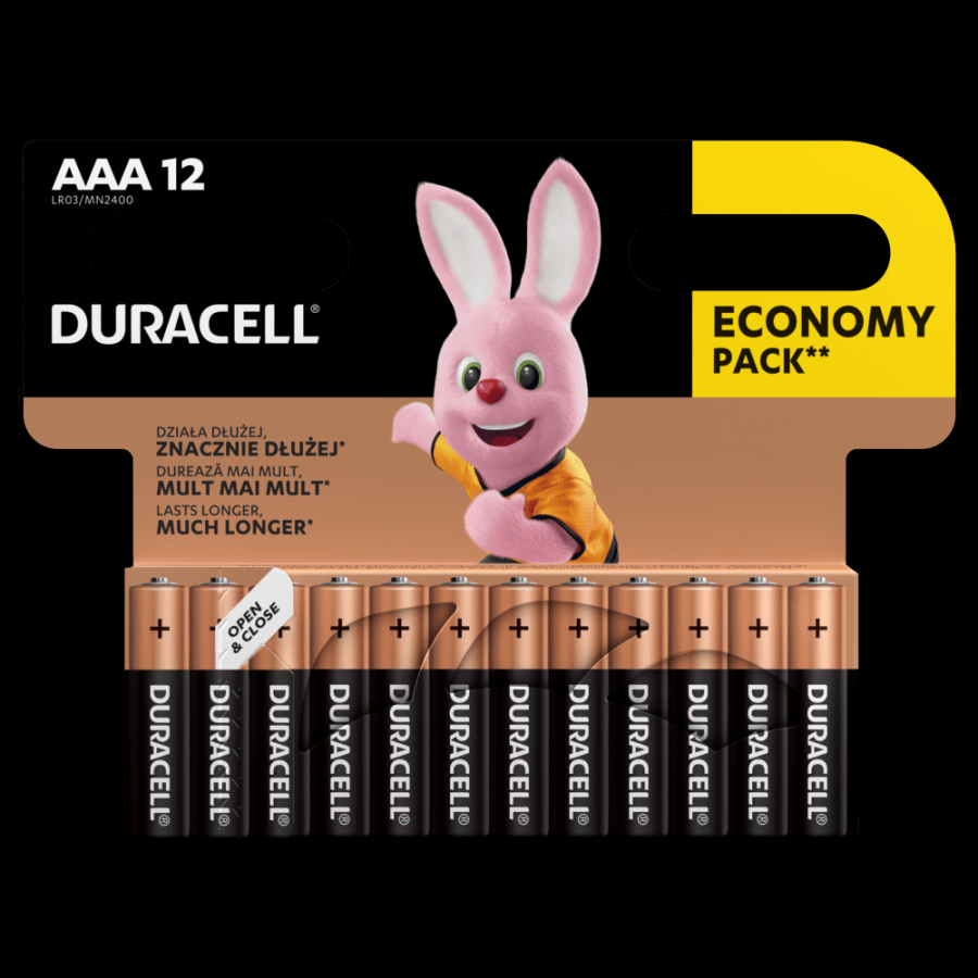 Baterija DURACELL Basic AAA 12 gab