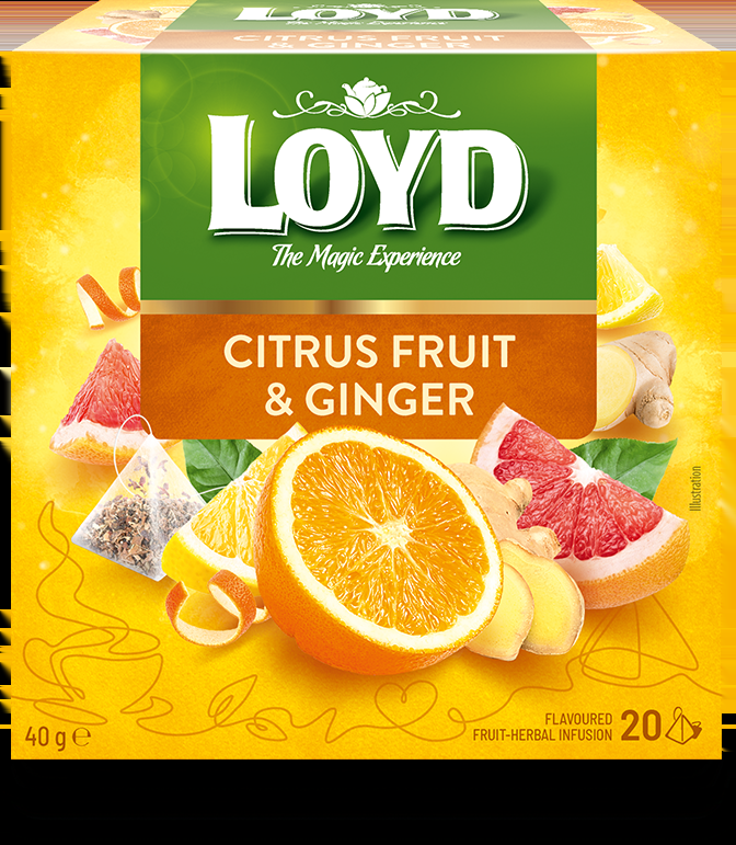 Augļu tēja LOYD Ginger&Citrus 20x2g (450-11638)