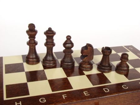 Шахматы Chess Magnetic Nr.140M Small