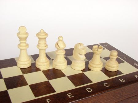 Шахматы Chess Magnetic Nr.140M Small