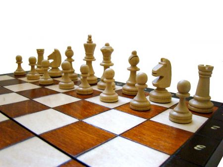Шахматы Chess Magnetic Nr.140B