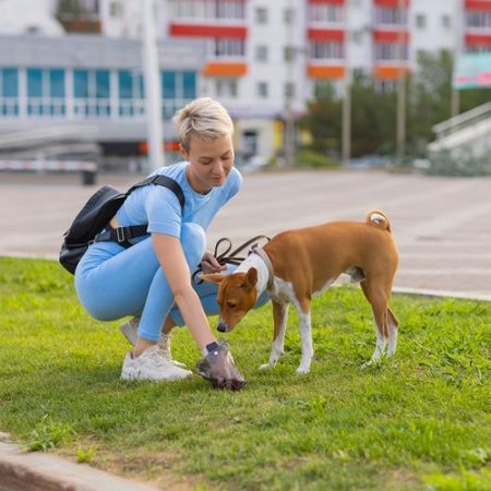 Suņu ekskrementu maisiņi ar futrāli 50 ruļļi / 1000 maisiņi (P22812)