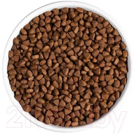 Ambrosia Сухой корм для стерилизованных кошек с кроликом и форелью GRAIN FREE STERILIZED CAT FRESH TROUT & RABBIT 1.5KG (5214001832941)
