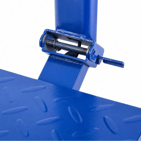 Цифровые платформенные весы до 300кг / 50 g (P17105)