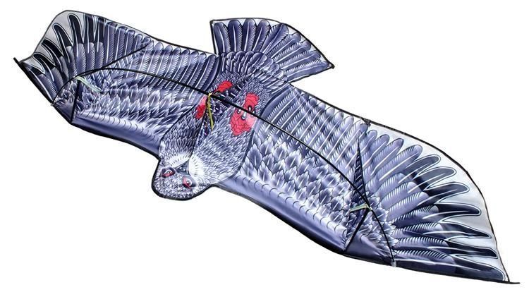 Gaisa ērglis 200x83 cm LUX-8560m