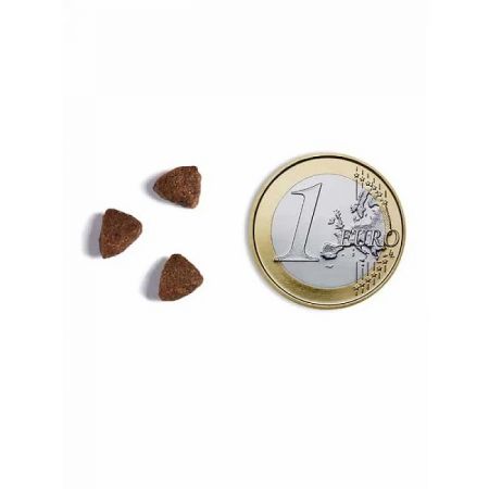Ambrosia Bezgraudu sausā barība vecākiem, sterilizētiem kaķiem un tendencei uz lieko svaru ar pīles fileju un tītaru Grain-Free Fresh Duck & Turkey - Senior, Light, Sterilized Cat 5kg (5214001832989)