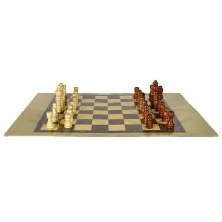 Шахматы (3647)