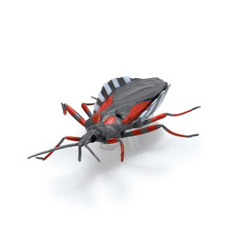 HEX BOTS интерактивная игрушка Nano Real Bugs 5шт (6071530)