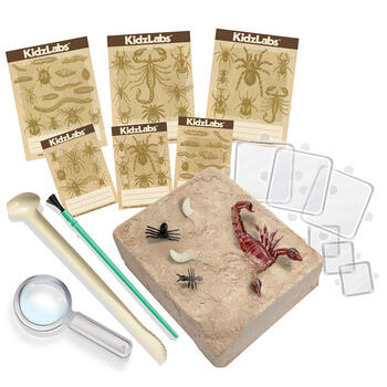 4M Creepy Crawly rakšanas komplekts (00-03397)