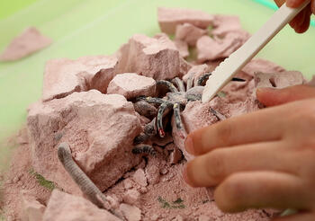 4M Creepy Crawly rakšanas komplekts (00-03397)