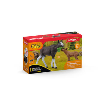 SCHLEICH WILD LIFE Лосенок (42603S)