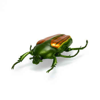HEX BOTS интерактивная игрушка Nano Real Bugs 5шт (6071530)
