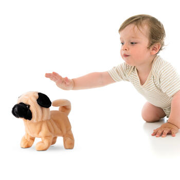 PUGS AT PLAY Интерактивный щенок Орешек (PAP28)