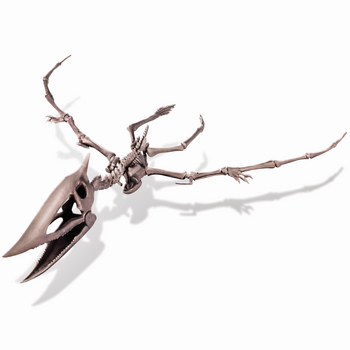 4M Izrakuma komplekts Pteranodons (00-03459)