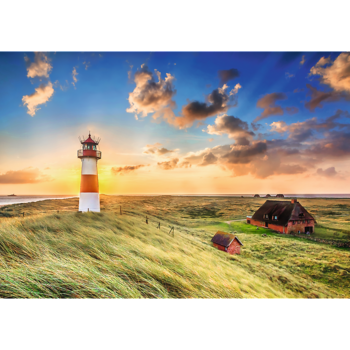 TREFL Premium Plus Пазл List-Ost Lighthouse, 1000 шт. (10823T)