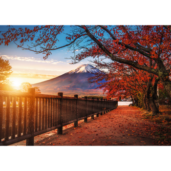 TREFL Premium Plus Пазл Mount Fuji, 1000 шт. (10817T)